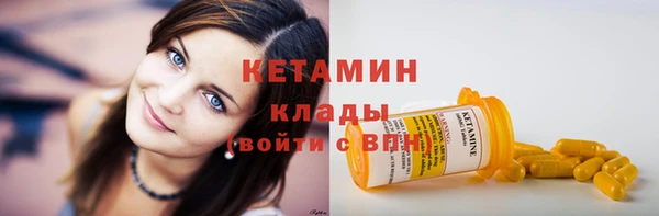 индика Богородицк