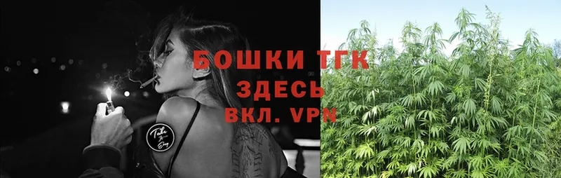 Бошки марихуана Ganja  Короча 